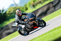 PJ-Motorsport-Photography-2020;anglesey;brands-hatch;cadwell-park;croft;donington-park;enduro-digital-images;event-digital-images;eventdigitalimages;mallory;no-limits;oulton-park;peter-wileman-photography;racing-digital-images;silverstone;snetterton;trackday-digital-images;trackday-photos;vmcc-banbury-run;welsh-2-day-enduro